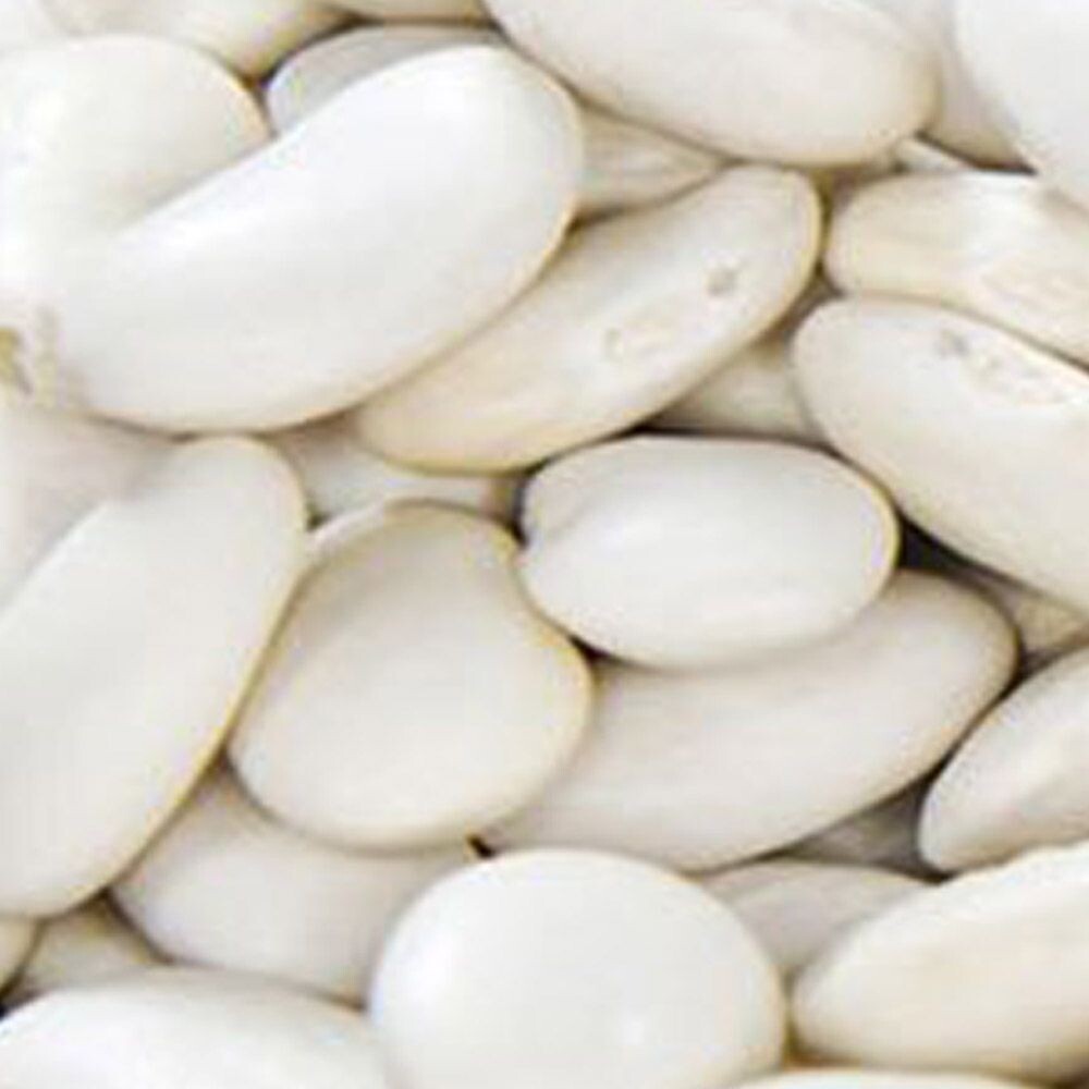 <b>슈퍼</b> 흰 강남콩 채소 씨앗 곡물 껍질 종자 풋 콩 30g /씨앗/<b>씨드</b>/텃밭/종자/주말농장