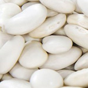 <b>슈퍼</b> 흰 강남콩 채소 씨앗 곡물 껍질 종자 풋 콩 30g /씨앗/<b>씨드</b>/텃밭/종자/주말농장