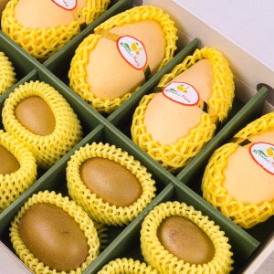 제스프리 골드 키위+태국 골드 망고 선물세트 2.2kg