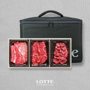 [롯데백화점] 한우지예 1++9등급 프리미엄 실속구이세트 2호 (냉장/구이/1.2kg) LE1002454746