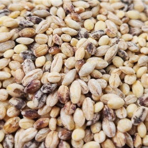 다섯 가지 영양이 가득 유기농 보리 5곡 1.8kg