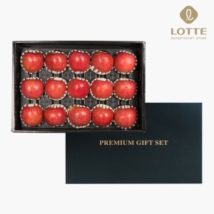 [롯데백화점] 햇살여문 프리미엄 충주 사과 세트 5KG (16과이내) LE1211731897