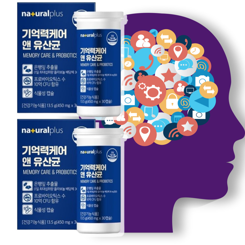 뇌영양제 집중력영양제 은행잎추출물  30정  2개