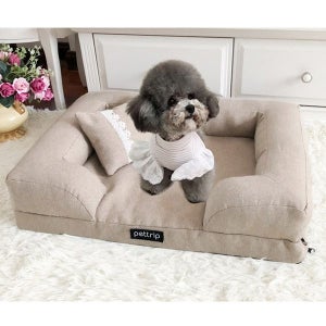 [비오인터내셔널] 휴라이즈 펫사랑 강아지 방석 고양이 쿠션 애견 침대 사각 소파 베개_ HR-C11M