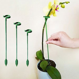 [드림로켓] 가드닝 오링 지지대 10P 방울토마토 화초 화분 원형 식물 오이 꽃 텃밭 지주대 고정 줄기 세우기 집게 홀더_RD_0832