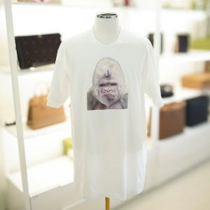 광고 메인 이미지