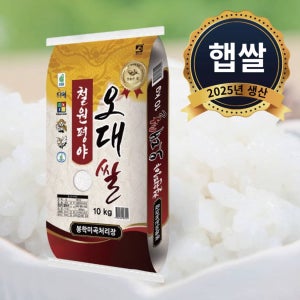 2025년 햅쌀! 김효기님의 철원 오대쌀 10kg(상)[등급 : 상 / 품종 : 오대 / 10kg]