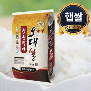 2026년 햅쌀! 김효기님의 철원 오대쌀 10kg(상)[등급 : 상 / 품종 : 오대 / 10kg]