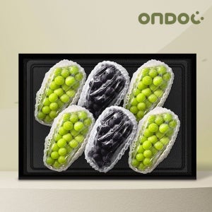 [롯데백화점] 온도씨 샤인머스켓 머루포도 과일세트 3kg (샤인2kg+머루1kg) LE1219936818