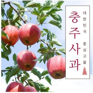 부사사과 시나노골드 품종반반 가정용 못난이 흠과 3kg 5kg 10kg 봉화골농원[]