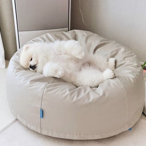 폴리몰리 펫 빈백 904SU 세탁 가능 방수 PU 강아지 고양이 빈백 방석 쿠션 대형(L)