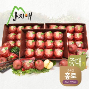 산지애 홍로 사과 9kg (3kg*3박스) TV상품