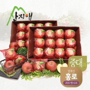 산지애 홍로 사과 6kg (3kg*2박스) TV상품