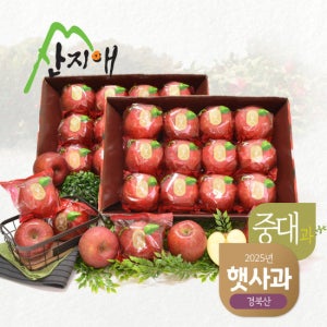 산지애 햇사과 6kg (3kg*2박스) TV상품