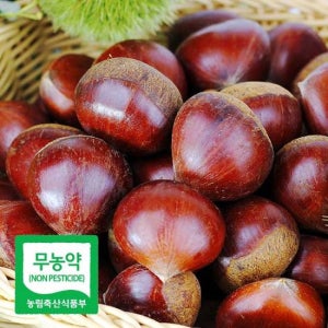 25년 무농약 공주 정안밤 알밤 2kg(대품) 농가직송