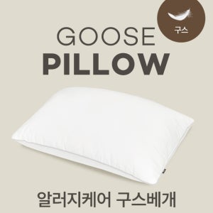 알러지케어 구스베개속통