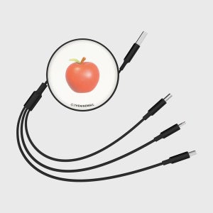 [더나인몰] mini apple 릴 타입 충전 케이블 8핀 c타입 5핀