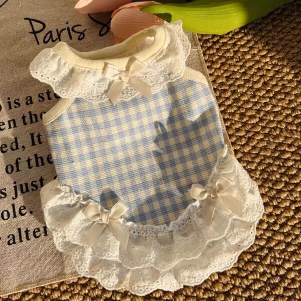 Bichon Frise (비숑 프리제)