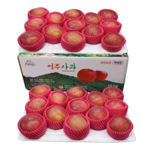 [김가네과일촌] 선물용 제수용 답례품 명절 선물세트 고당도 꿀사과 부사 10