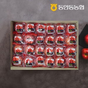 [자연맛남]동안동농협 고당도 정품 세척 사과 5kg (26과내)