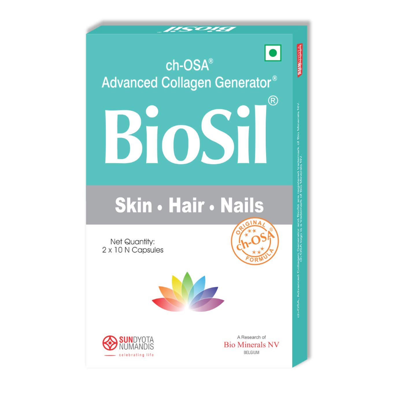 바이오실 <b>헤어 스킨 네일</b> 베지테리안 <b>캡슐</b>  60정  1개