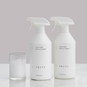생활공작소 욕실용세정제 750ml 2개
