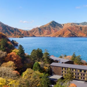 일본도쿄 속 도쿄여행 시부야 자유여행 커플여행