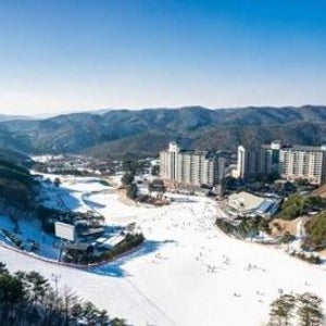 오크밸리리조트 힐스빌리지 - 힐스빌리지 35평(트윈)