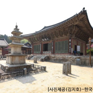 순천시 힐링여행 연합상품 순천만국가정원 순천만습지 순천가볼만한곳