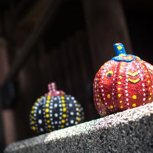 일본시코쿠 다카마츠 나오시마 우동여행 자유여행 크리에이티브