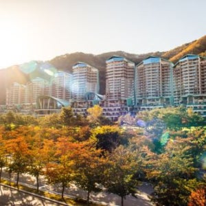 소노펠리체 비발디파크