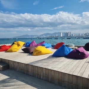 베트남 판랑사막 스톤마사지 요정의숲 오션뷰카페 호핑투어