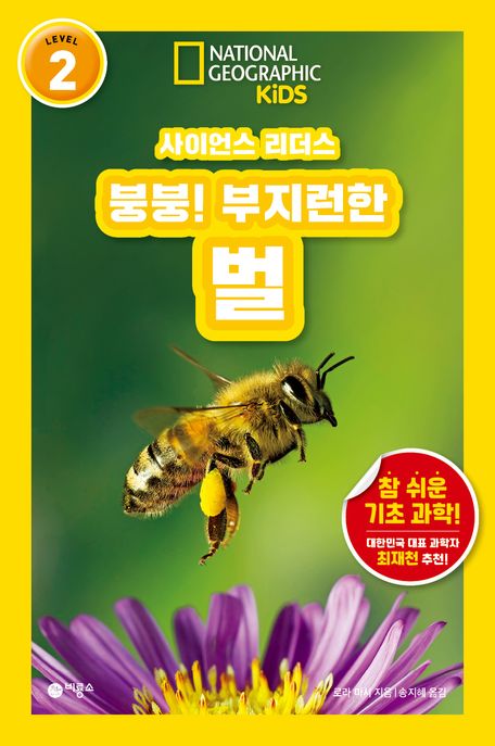 붕붕! 부지런한 벌