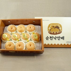 [낙안강재봉] 2025 햇 배 선물세트 7.5kg - 2025 추석 선물세트