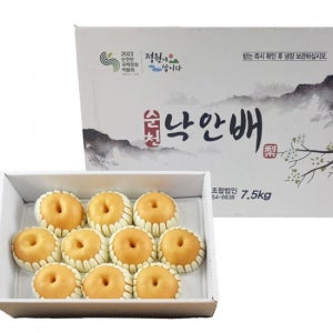 [낙안김만진] 순천 햇 배 선물세트 7.5kg - 2025 추석 선물세트