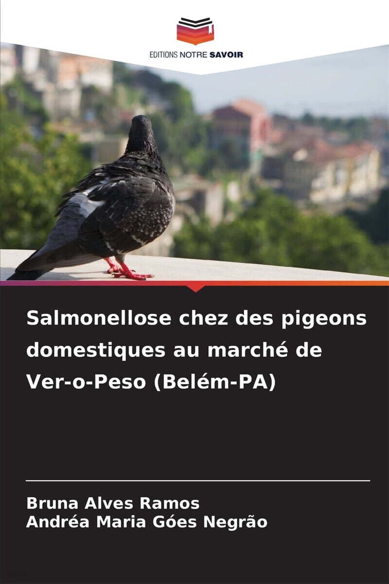 9786203851816