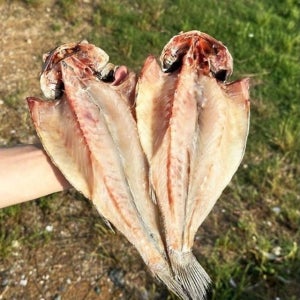 [30cm 5미] 쫄깃+짭짤 반건조 민어