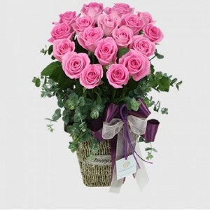 메리엘 핑크 (FT0011)