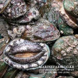 (BDLJ전복 17-18미 1kg) 완도전복 참전복 설날선물 구정선물 선물용전복 전복세트