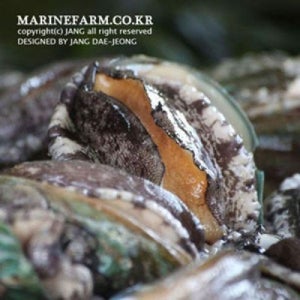 (BDLJ전복 10-11미 1kg) 완도전복 참전복 설날선물 구정선물 선물용전복 전복세트
