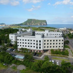 플레이스 캠프 by 휘닉스 - [21일 얼리버드] 반려견 동반 디럭스 4성급