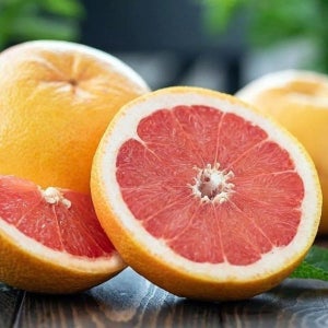 남아공 이스라엘 자몽 5과 대과 남아공 자몽 1.95kg ...