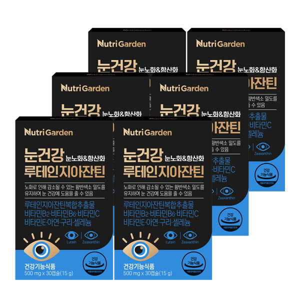 뉴트리가든 뉴트리가든 눈건강 루테인지아잔틴 6박스 (총6개월분) 눈영양제 눈건강 항산화