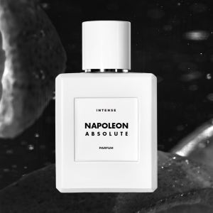 나폴레옹 앱솔루트,크리드 앱솔루 어벤투스 50ml 듀프 클론 카피 재현 타입 저렴이 대체 향수