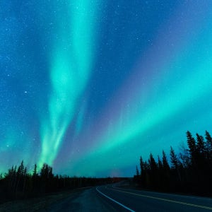 캐나다 옐로나이프 오로라 빌리지 + 헌팅 3박 4일 투어 (숙박 포함)