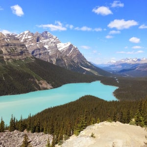 캐나다 밴프 국립공원 1박 2일 그룹 투어 (모레인 호수, 레이크 루이스, 페이토 아이스필드)