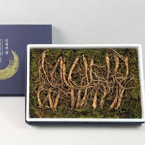 자연의 신선함 그대로 6년근 산양삼 20뿌리 세트 245g