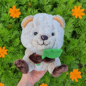 광고 메인 이미지