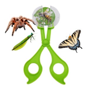 투명공 곤충채집 집게 소 무당벌레 나비 개미 꿀벌