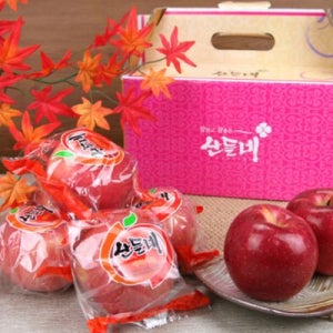 [산지직송] 껍질째 먹는 경북 세척사과 3kg 15과내